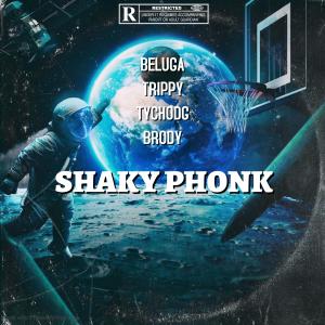 Album Shaky Phonk from Beluga