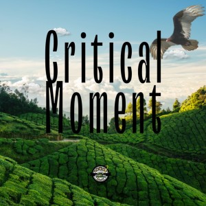 Vulture的專輯Critical Moment (feat. TAIRA & Vulture)