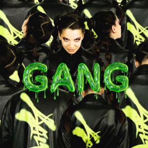 Mariposa的专辑Gang (Explicit)