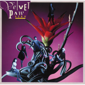 ดาวน์โหลดและฟังเพลง Say You've Got The Sign พร้อมเนื้อเพลงจาก Velvet Paw