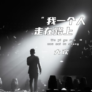 Album 我一个人走在路上 from 大欢