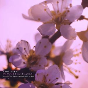 Listen to The Endless Forest song with lyrics from Arda Leen