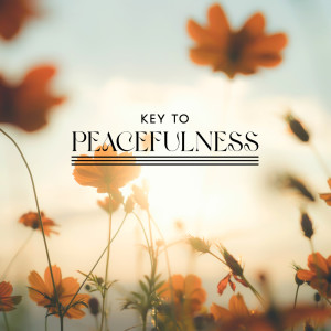 Key to Peacefulness (Soothing Music for Balancing Meditation and Regulating Your Emotions)