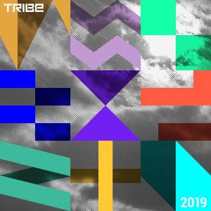 Tribe Records Presents Tribe Vibe 2019 dari Various Artists