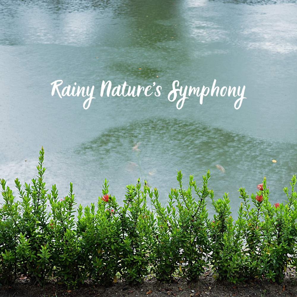 Rain and Wind Soothing