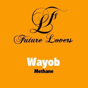 Listen to Guepardo song with lyrics from Wayob