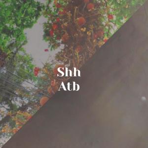 Album Shh Atb from Various