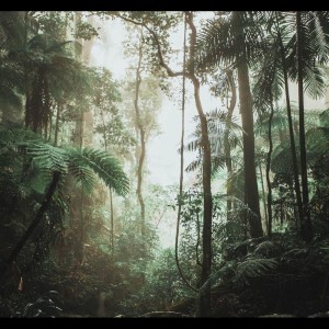 Listen to Sleep Music song with lyrics from Deep Sleep