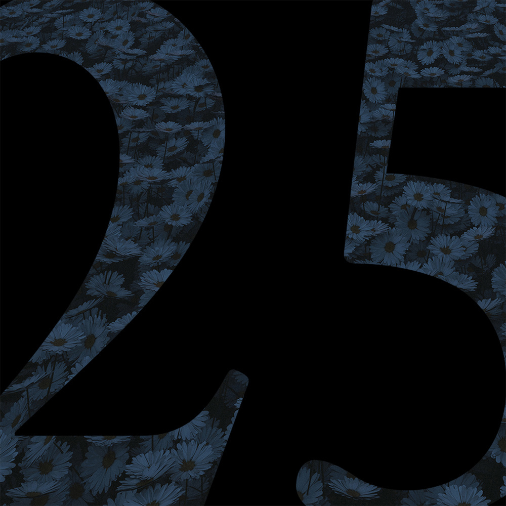 25 (Explicit)