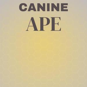 ดาวน์โหลดและฟังเพลง Canine Ape พร้อมเนื้อเพลงจาก Jaron Conce