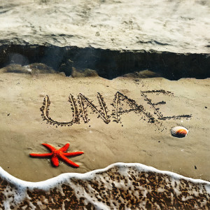 Album UNAE oleh Berechet