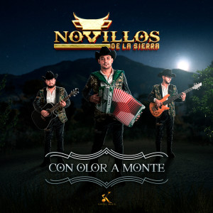 收聽Novillos de la Sierra的El Chepis歌詞歌曲