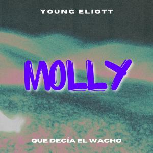 收聽Young eliott的MOLLY (feat. LIL ROSE) (Explicit)歌詞歌曲