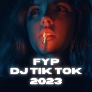 Album FYP DJ TIK TOK 2023 oleh Dj viral tiktok