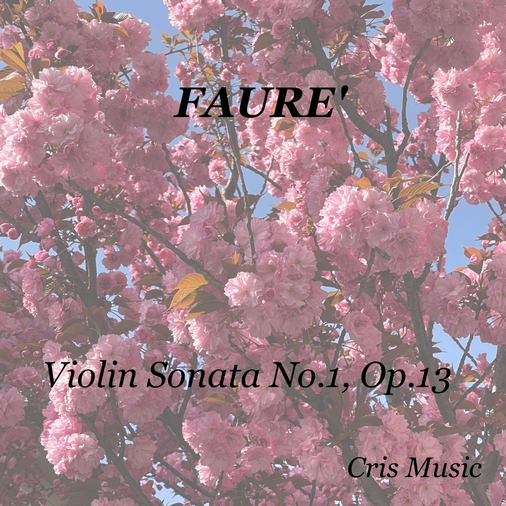 Violin Sonata No.1, Op.13, 4. Allegro quasi presto
