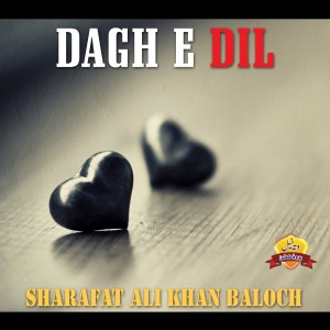 Listen to Kar Ishq Na Meda Yaar song with lyrics from Sharafat Ali Khan