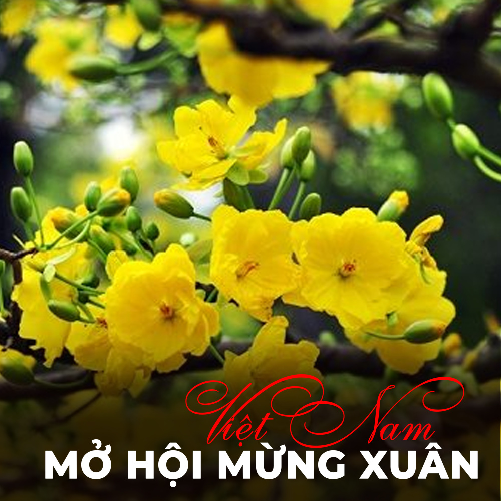 LK : Dịu dàng sắc xuân - Bên em mùa xuân