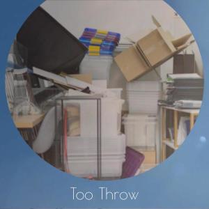 Various的专辑Too Throw