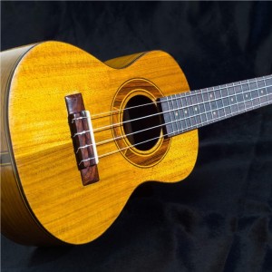Fábio Tagliaferri的專輯Bonita