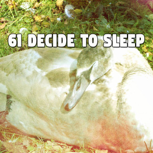 61 Decide to Sleep