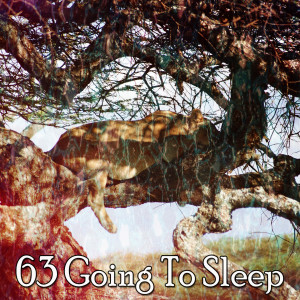 收聽Ocean Sounds Collection的The Peaceful Night歌詞歌曲