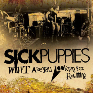 ดาวน์โหลดและฟังเพลง What Are You Looking For (Radio Mix) พร้อมเนื้อเพลงจาก Sick Puppies