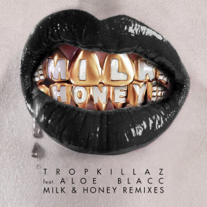 收聽Tropkillaz的Milk & Honey (Hugel Remix)歌詞歌曲