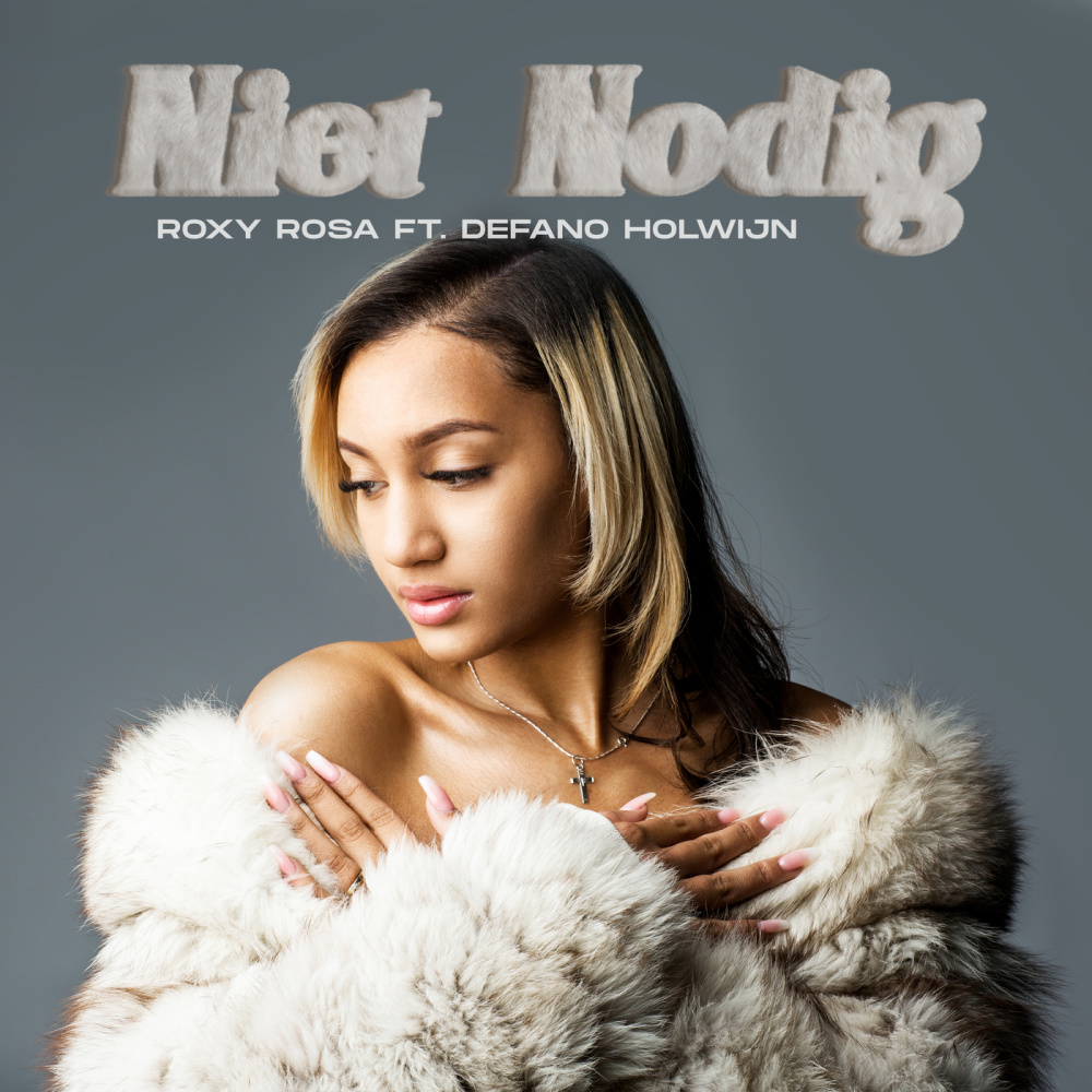 Niet Nodig (feat. Defano Holwijn) (Explicit)