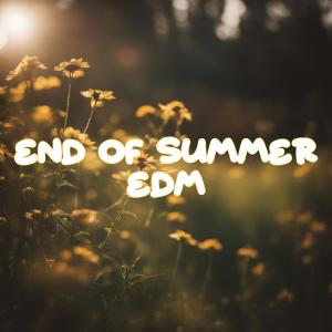 Album End Of Summer EDM from Various Artists