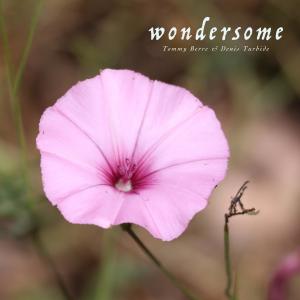 Tommy Berre的專輯Wondersome