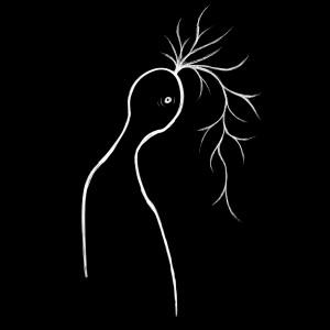 อัลบัม friends with darkness ศิลปิน ptasinski