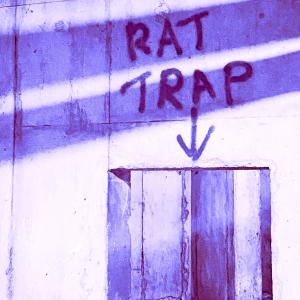 收聽Pinwheel的Rat Trap (Mono Mix)歌詞歌曲