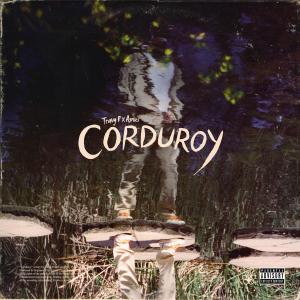 อัลบัม Corduroy (Explicit) ศิลปิน Travy P