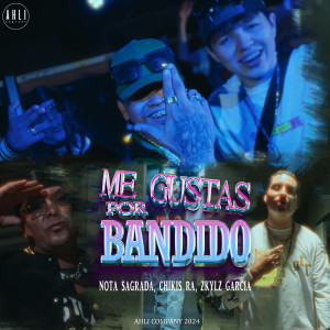 Album Me Gustas Por Bandido from 