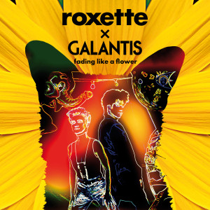 收聽Roxette的Fading Like A Flower歌詞歌曲