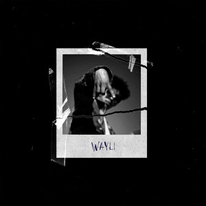 Album Wayli from kouz1