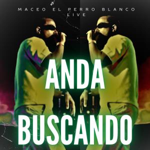 收聽maceo el perro blanco live的anda buscando (live)歌詞歌曲