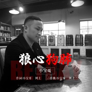 อัลบัม 狼心狗肺（DJ沈念版） ศิลปิน 小宝哥