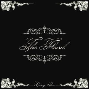 ดาวน์โหลดและฟังเพลง The Flood พร้อมเนื้อเพลงจาก Casey Shea