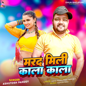 Ashutosh Pandey的专辑Marad Mili Kala Kala