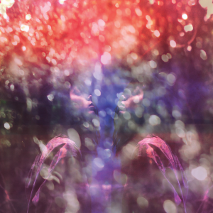 ดาวน์โหลดและฟังเพลง Permanence พร้อมเนื้อเพลงจาก Maybeshewill