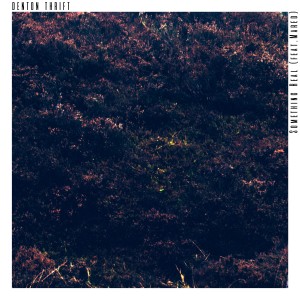 收聽Denton Thrift的Something Real歌詞歌曲