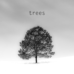 Listen to Trees song with lyrics from Key One