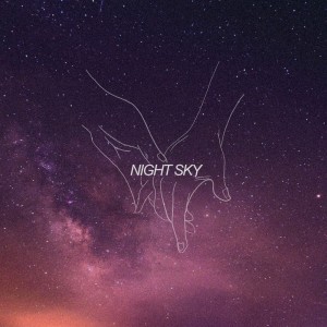 Faime的专辑Night Sky
