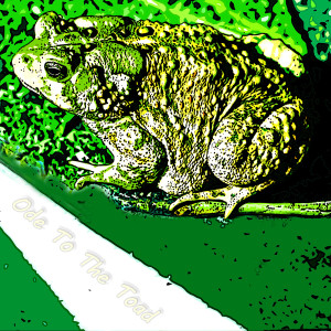 收聽Madcap Circus的Ode to the Toad歌詞歌曲
