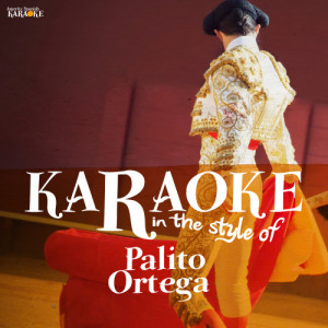 收聽Ameritz Spanish Karaoke的La Felicidad (Karaoke Version)歌詞歌曲