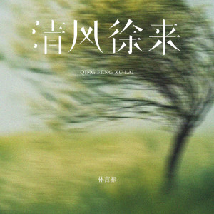 Album 清风徐来 from 林言祁