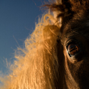 收聽Mannequin Pussy的I Got Heaven (Explicit)歌詞歌曲