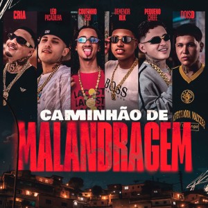 Album Caminhão de Malandragem (Explicit) from 