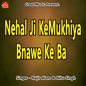 收听Najir Alam的Nehal Ji Ke Mukhiya Bnawe Ke Ba歌词歌曲